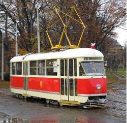 Picture of Historical Tram T1 1951 26pax