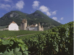 Picture of SWISS Château Aigle 