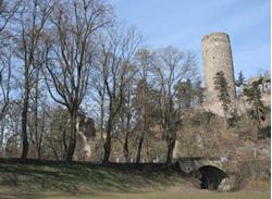 Picture of Zebrak Castle