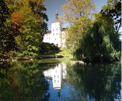 Picture of Breznice Chateau