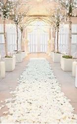 Picture of Flower petals on the stage 