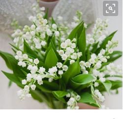 Picture of Bridal bouquet Lilly of the Valley