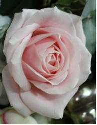 Obrázek z Květinový balíček - Simply Flower 