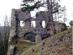 Picture of Zebrak Castle