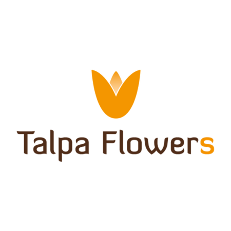 Picture of Talpa Flowers
