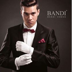 Picture of Men’s Suits Bandi 
