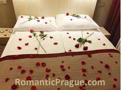 Picture of Bed of Roses