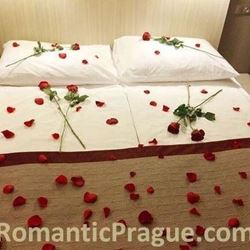 Picture of Bed of Roses