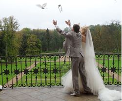 Picture of Wedding doves