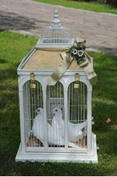 Picture of Wedding doves