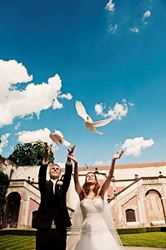 Picture of Wedding doves