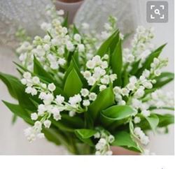 Picture of Svatebnikytice.cz package - Lilly of the valley