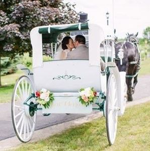 Picture for category Horse carriages