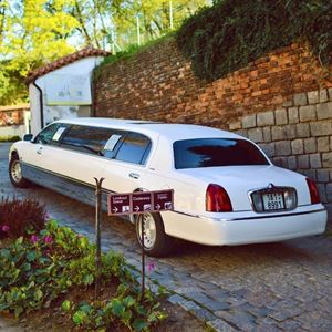 Picture for category Stretch Limousines