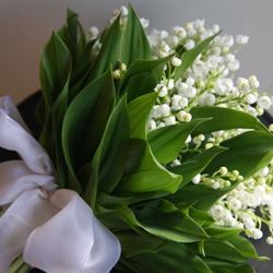 Picture of Bridal bouquet Lilly of the Valley