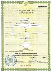 Picture of Russia legalities 