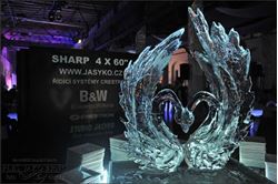 Picture of Ice statue Valkyra