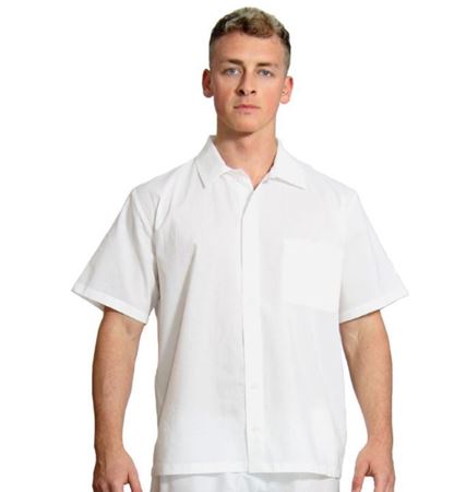 Picture of Short-sleeved shirt